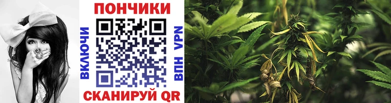 даркнет телеграм  Билибино  Шишки марихуана конопля  MEGA зеркало 